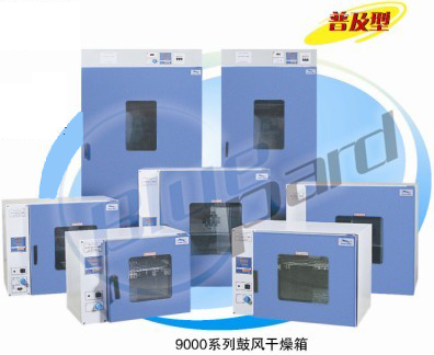 上海一恒电热鼓风干燥箱DHG-9240A