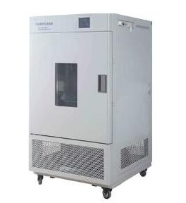 LHH-500GSD药品稳定性试验箱（上海一恒）